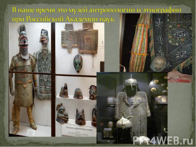В наше время это музей антропологии и этнографии при Российской Академии наук.