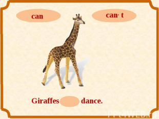 cancan, tGiraffes can, t dance.