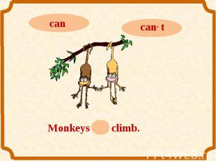 cancan, tMonkeys can climb.