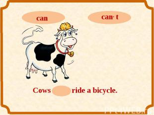 cancan, tCows can, t ride a bicycle.