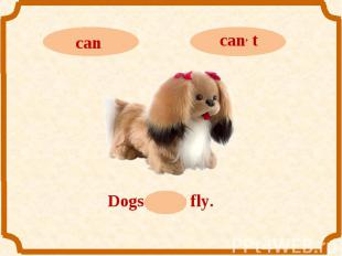 cancan, tDogs can, t fly.