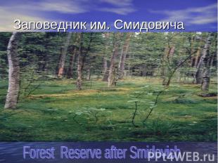 Заповедник им. Смидовича Forest Reserve after Smidovich
