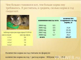 Чем больше становился кот, тем больше корма ему требовалось. Я рассчитала, в сре