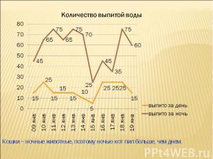 Количество выпитой воды Кошки – ночные животные, поэтому ночью кот пил больше, ч