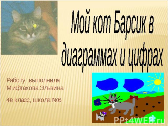 Мой кот Барсик в диаграммах и цифрахРаботу выполнила Мифтахова Эльвина4в класс, школа №6