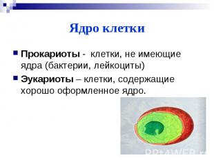 Ядро клеткиПрокариоты - клетки, не имеющие ядра (бактерии, лейкоциты)Эукариоты –