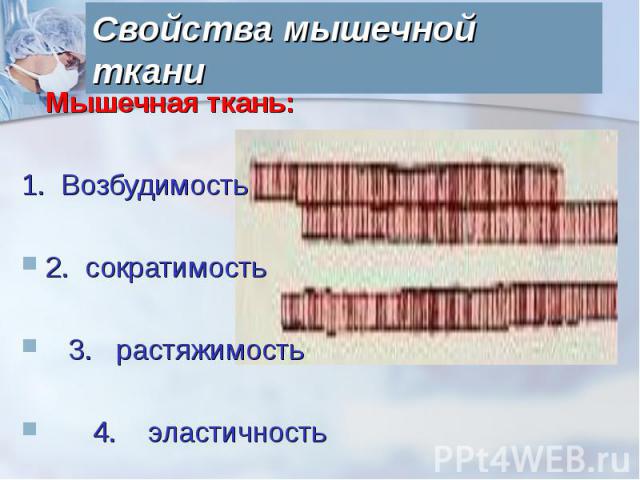 Свойства мышечной ткани Мышечная ткань:1. Возбудимость2. сократимость 3. растяжимость 4. эластичность