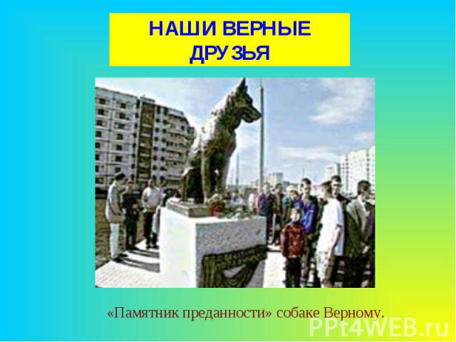 НАШИ ВЕРНЫЕ ДРУЗЬЯ«Памятник преданности» собаке Верному.