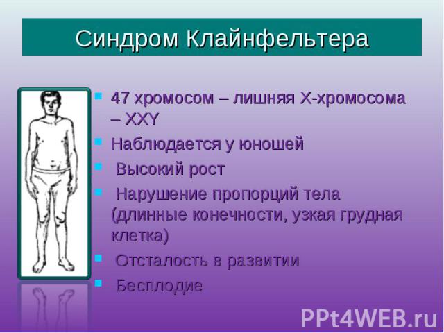 Синдром Клайнфельтера 47 хромосом – лишняя Х-хромосома – ХХY Наблюдается у юношей Высокий рост Нарушение пропорций тела (длинные конечности, узкая грудная клетка) Отсталость в развитии Бесплодие