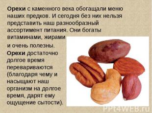Орехи с каменного века обогащали меню наших предков. И сегодня без них нельзя пр