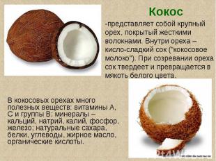 Кокос-представляет собой крупный орех, покрытый жесткими волокнами. Внутри ореха