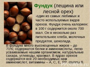 Фундук (лещина или лесной орех) -один из самых любимых и часто используемых видо