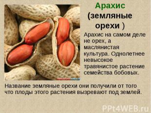 Арахис (земляные орехи ) Арахис на самом деле не орех, а маслянистая культура. О