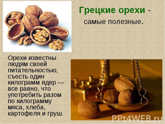 Грецкие орехи - самые полезные. Орехи известны людям своей питательностью, съесть один килограмм ядер — все равно, что употребить разом по килограмму мяса, хлеба, картофеля и груш.