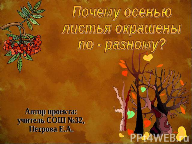 Почему осенью листья окрашены по - разному? Автор проекта: учитель СОШ №32,Петрова Е.А.