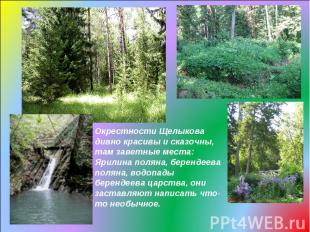 Окрестности Щелыкова дивно красивы и сказочны, там заветные места: Ярилина полян
