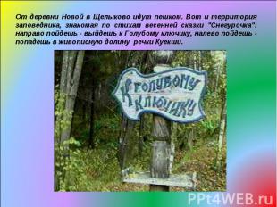 От деревни Новой в Щелыково идут пешком. Вот и территория заповедника, знакомая