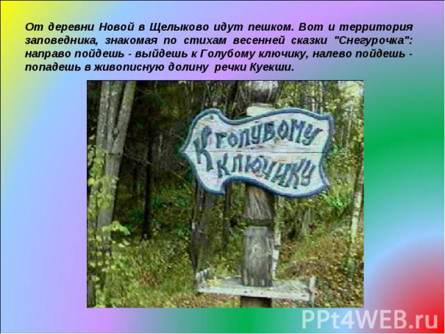 От деревни Новой в Щелыково идут пешком. Вот и территория заповедника, знакомая по стихам весенней сказки 