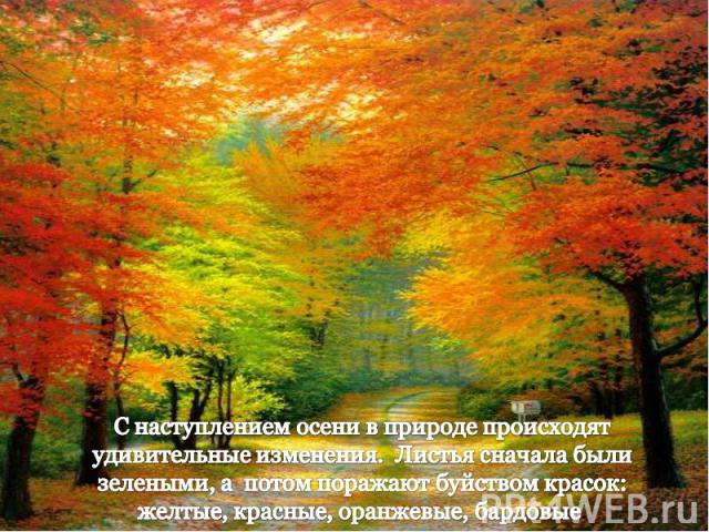 С наступлением осени в природе происходят удивительные изменения. Листья сначала были зелеными, а потом поражают буйством красок: желтые, красные, оранжевые, бардовые.
