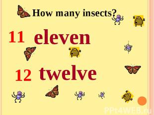 How many insects?eleventwelve