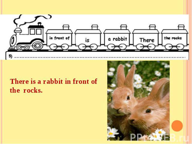 There is a rabbit in front of the rocks.