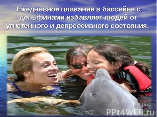 Ежедневное плавание в бассейне с дельфинами избавляет людей от угнетенного и деп