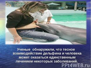 Ученые обнаружили, что тесное взаимодействие дельфина и человека может оказаться