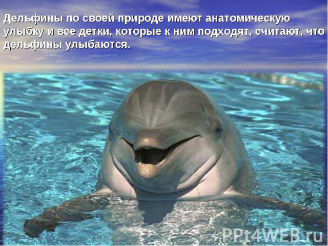 Дельфины по своей природе имеют анатомическую улыбку и все детки, которые к ним подходят, считают, что дельфины улыбаются.