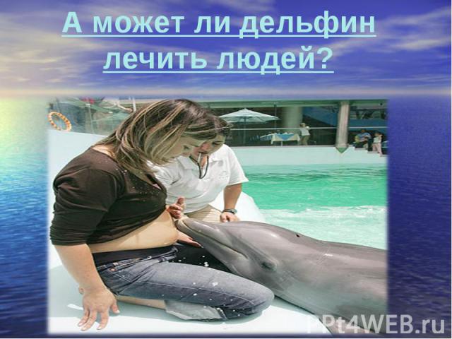 А может ли дельфин лечить людей?