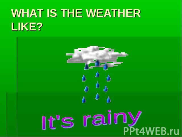 WHAT IS THE WEATHER LIKE? It's rainy