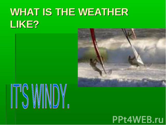 WHAT IS THE WEATHER LIKE? IT'S WINDY.