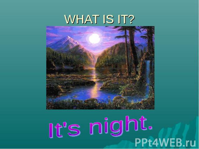 WHAT IS IT?It's night.
