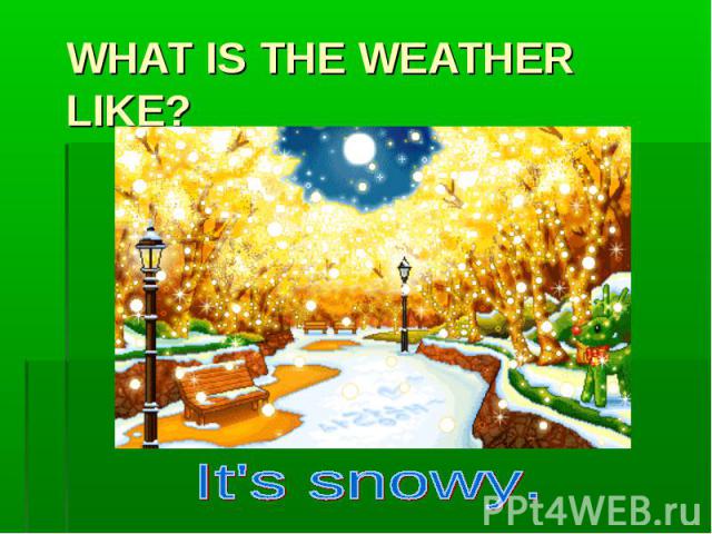WHAT IS THE WEATHER LIKE? It's snowy.