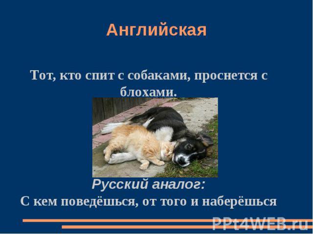 АнглийскаТот, кто спит с собаками, проснется с блохами.Русский аналог:С кем поведёшься, от того и наберёшьсяя