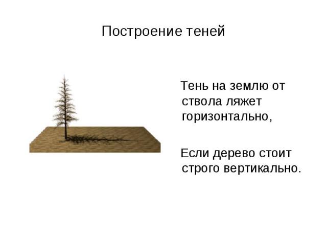 Построение теней Тень на землю от ствола ляжет горизонтально, Если дерево стоит строго вертикально.