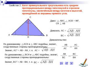Свойство 2. Катет прямоугольного треугольника есть среднее пропорциональное межд