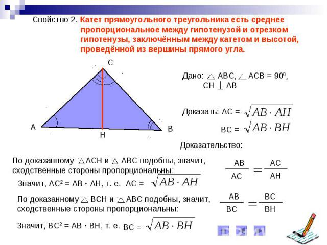 Свойство 2. Катет прямоугольного треугольника есть среднее пропорциональное между гипотенузой и отрезком гипотенузы, заключённым между катетом и высотой, проведённой из вершины прямого угла.По доказанному АСН и АВС подобны, значит, сходственные стор…