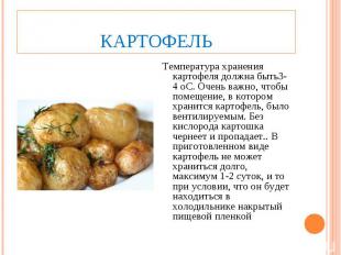 КартофельТемпература хранения картофеля должна быть3-4 оС. Очень важно, чтобы по
