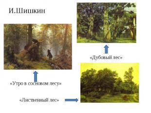 И.Шишкин«Утро в сосновом лесу»«Лиственный лес» «Дубовый лес»