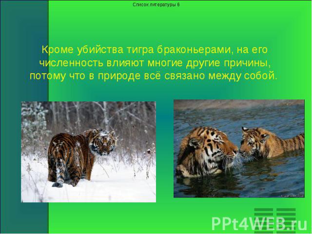 Кроме убийства тигра браконьерами, на его численность влияют многие другие причины, потому что в природе всё связано между собой.