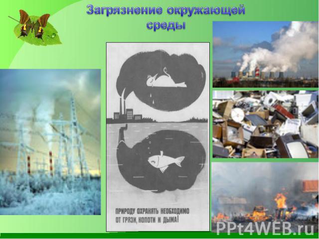Загрязнение окружающей среды