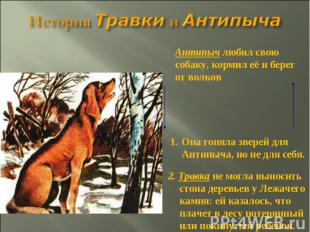 История Травки и АнтипычаАнтипыч любил свою собаку, кормил её и берег от волковО