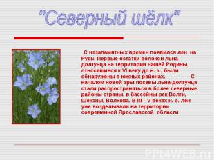 "Северный шёлк" С незапамятных времен появился лен на Руси. Первые остатки волок