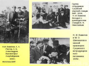 Группа сотрудников Сухумской опытной станции ВИР. 1934г. Н. И. Вавилов беседует