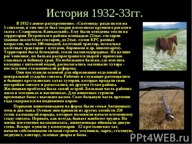 История 1932-33гг. В 1932 г.новое разукрупнение. «Скотовод» разделился на 5 совхозов, в том числе был создан племсовхоз крупного рогатого скота « Ставрополь-Кавказский». Ему были отведены земли на территории Петровского района площадью 23тыс. гектар…