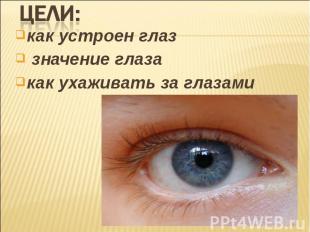 Цели: как устроен глаз значение глазакак ухаживать за глазами
