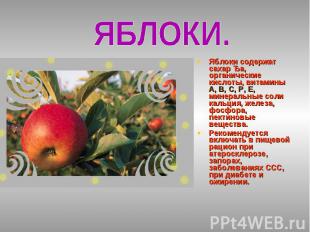 ЯБЛОКИ.Яблоки содержат сахар Ђа, органические кислоты, витамины А, В, С, Р, Е, м