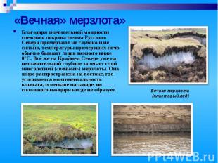 «Вечная» мерзлота»Благодаря значительной мощности снежного покрова почвы Русског