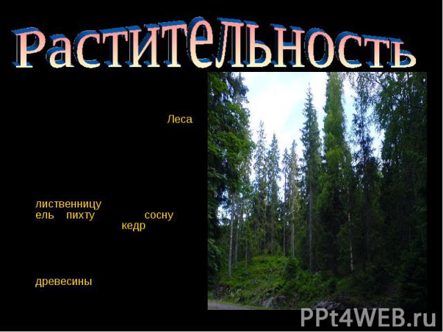 Растительность Площадь лесного фонда Красноярского края составляет 168,1 млн га. Леса покрывают 69 % территории края. Запасы промышленной древесины оцениваются в 14,4 млрд м³, что составляет 18 % общероссийских запасов древесины. Более половины лесо…