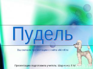 Пудель Вы скачали презентацию с сайта viki rdf.ru Презентацию подготовила учител
